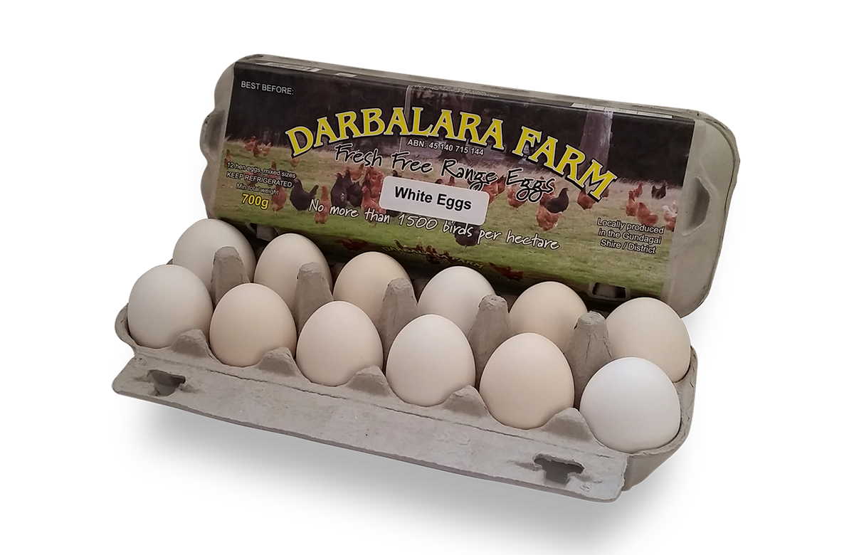 Egg-Carton_DARBALARA-WHITE_01B.png