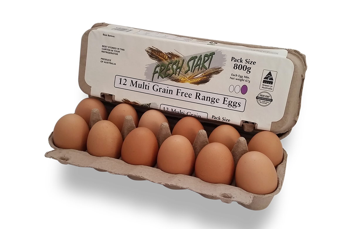 Egg-Carton_FS 800G_01B small.png