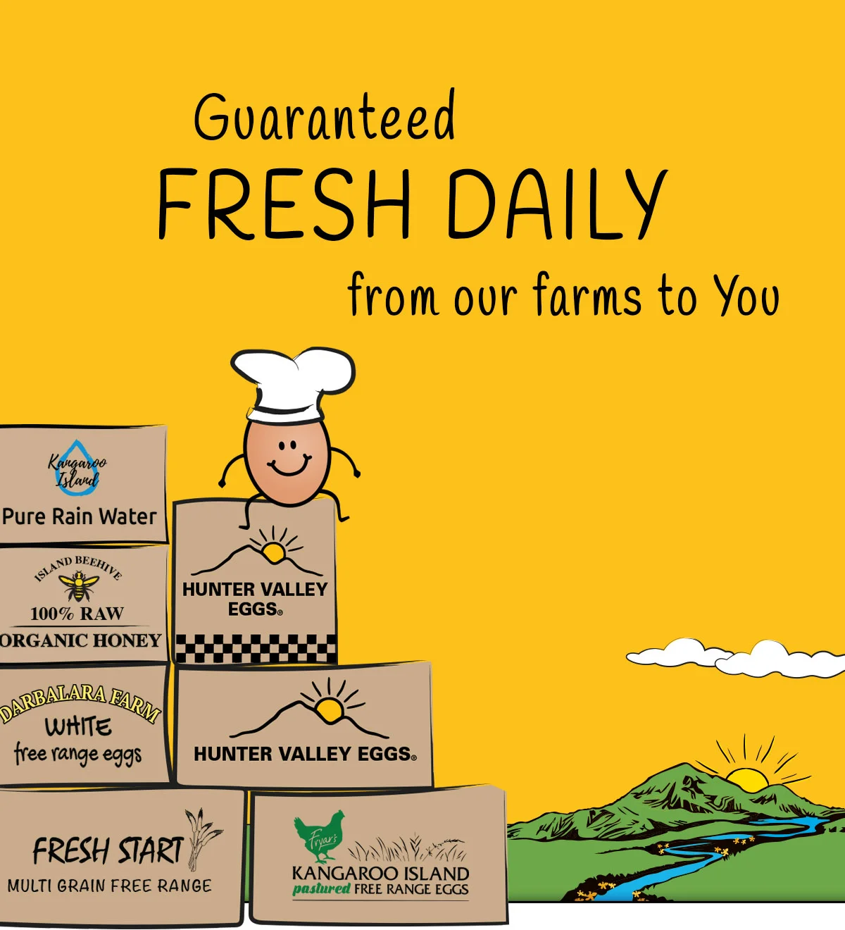 Hunter Valley Free Range Eggs