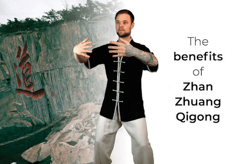 Zhan Zhuang Qigong - like a pole Dragon