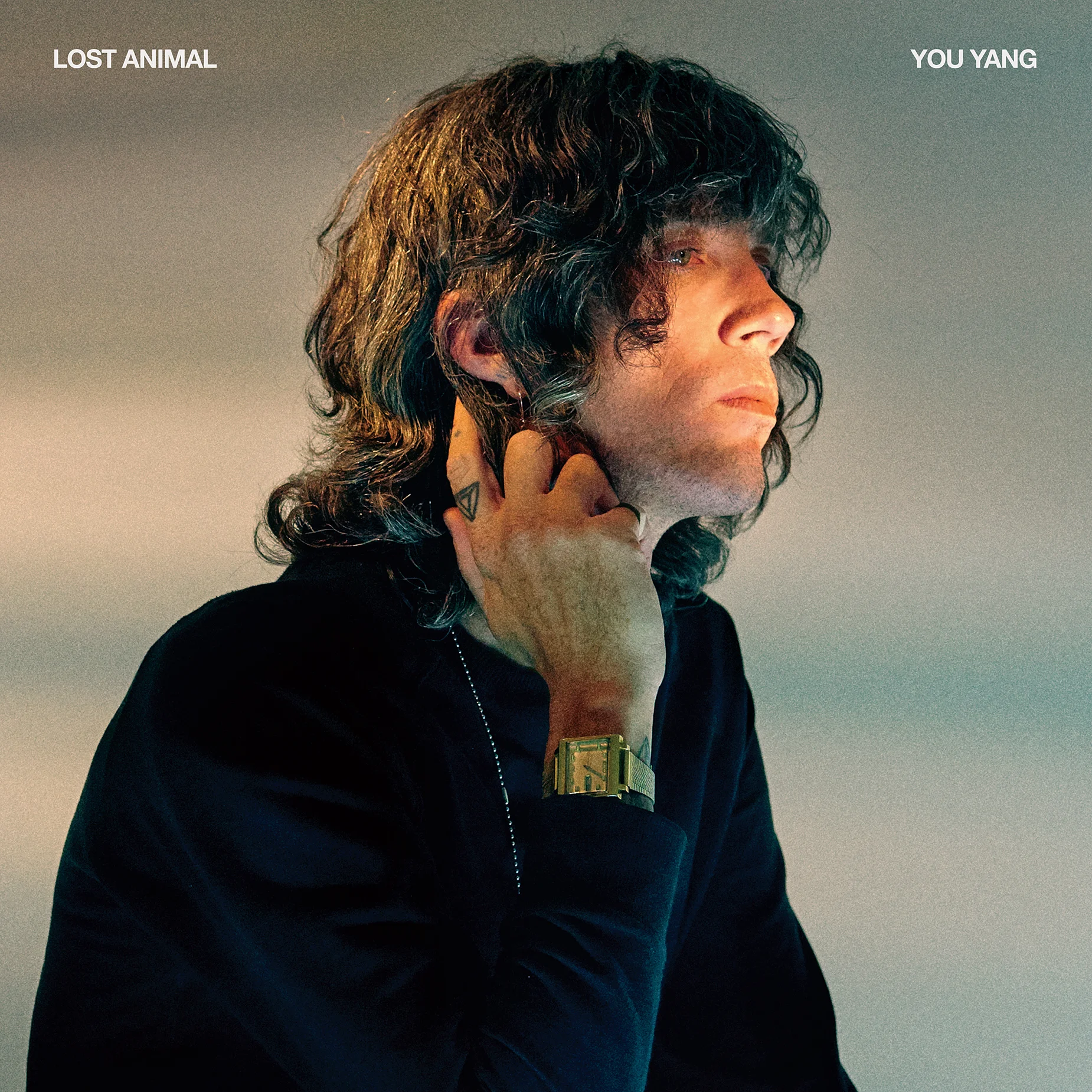  Lost Animal   You Yang , 2016 