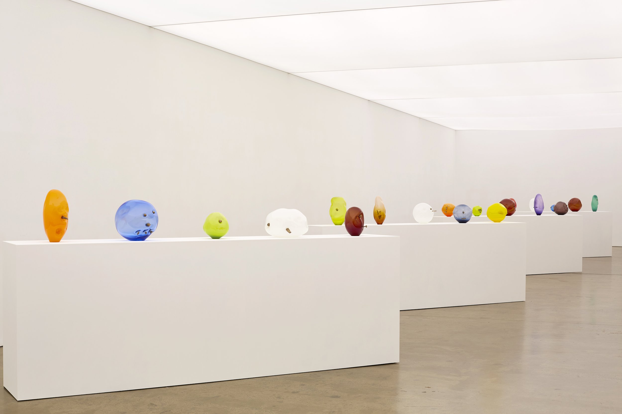 heads 20243645.jpg