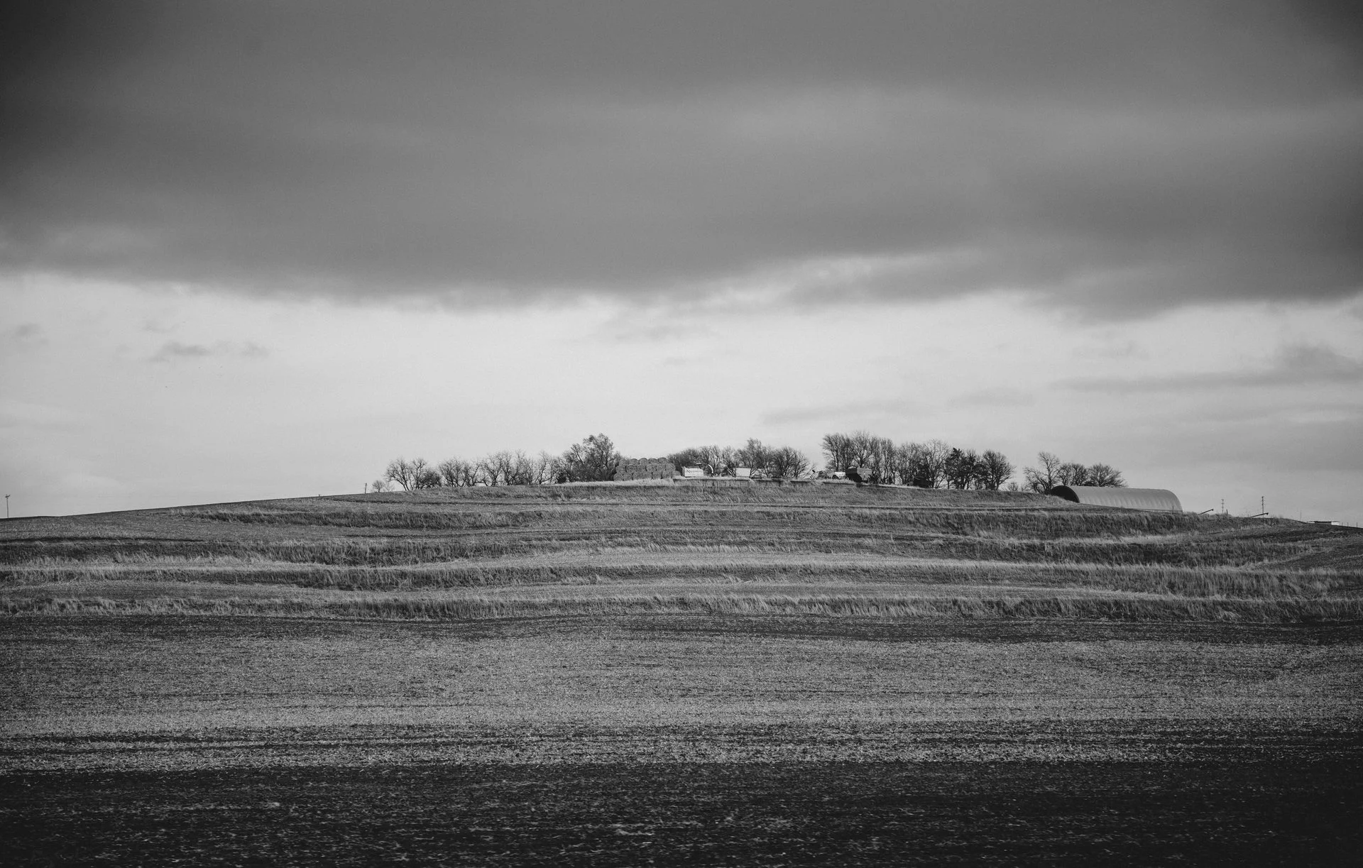 1143588_1920_25a882.jpg