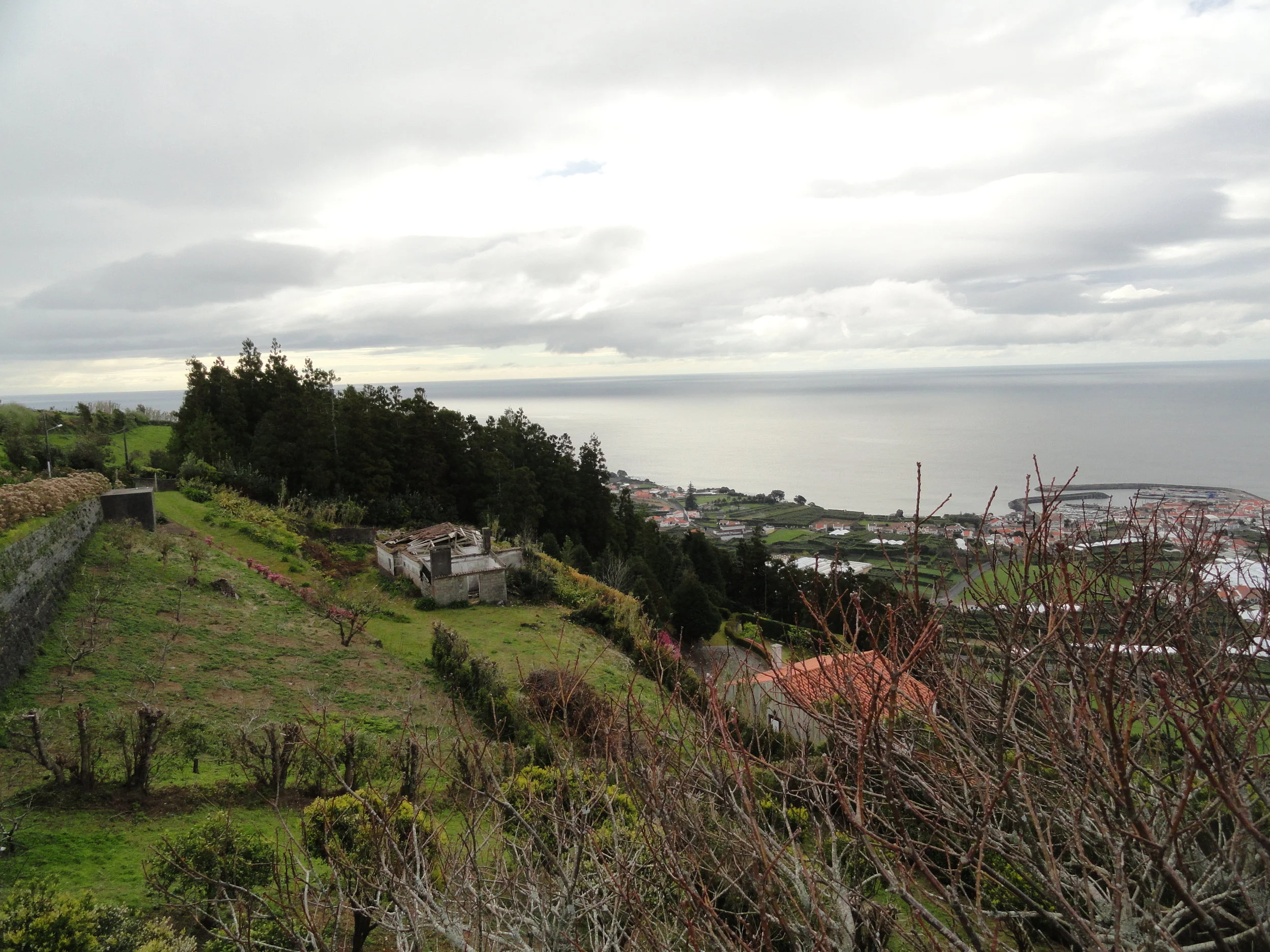 DSC00865.JPG