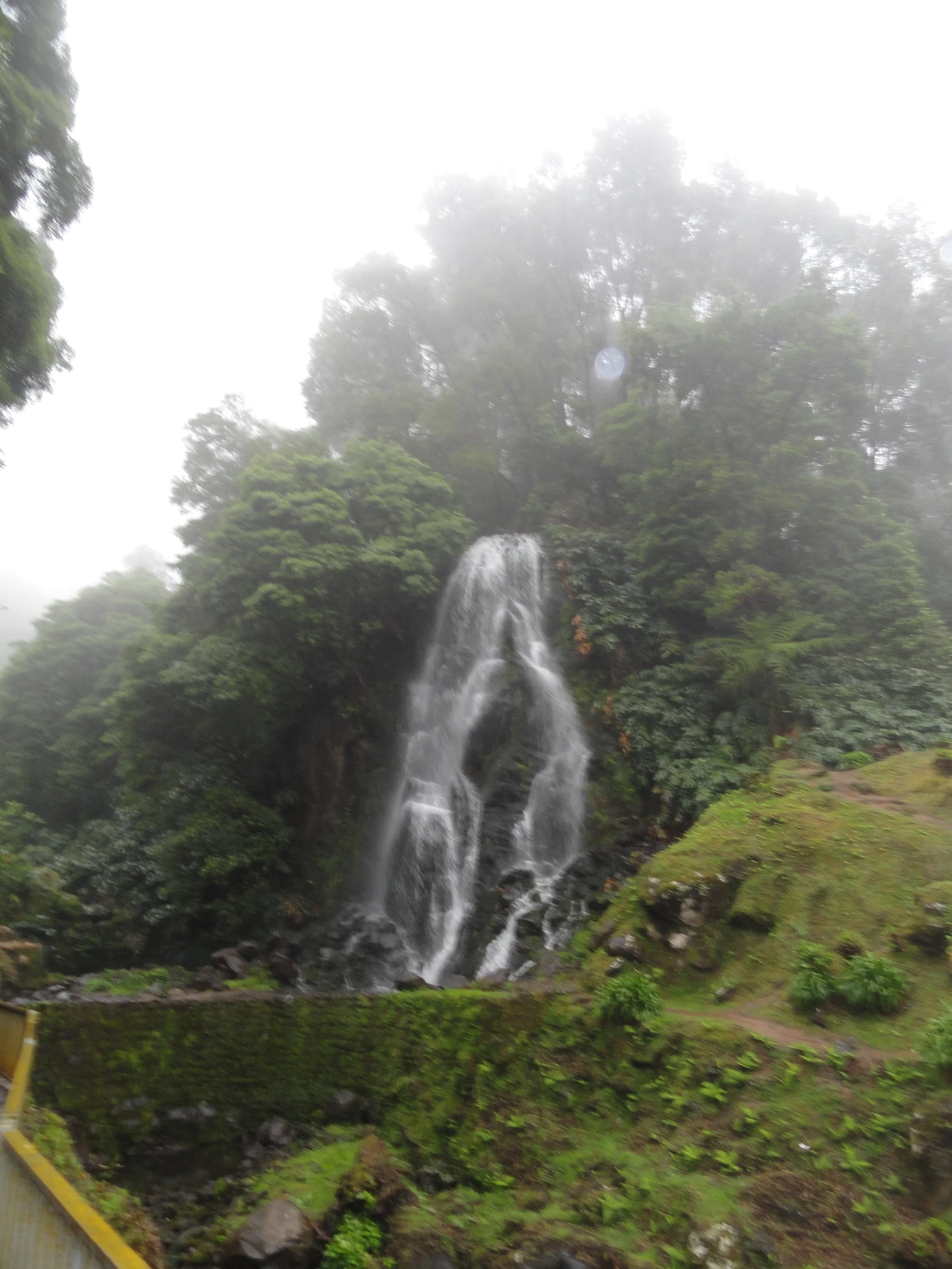 DSC00976.JPG