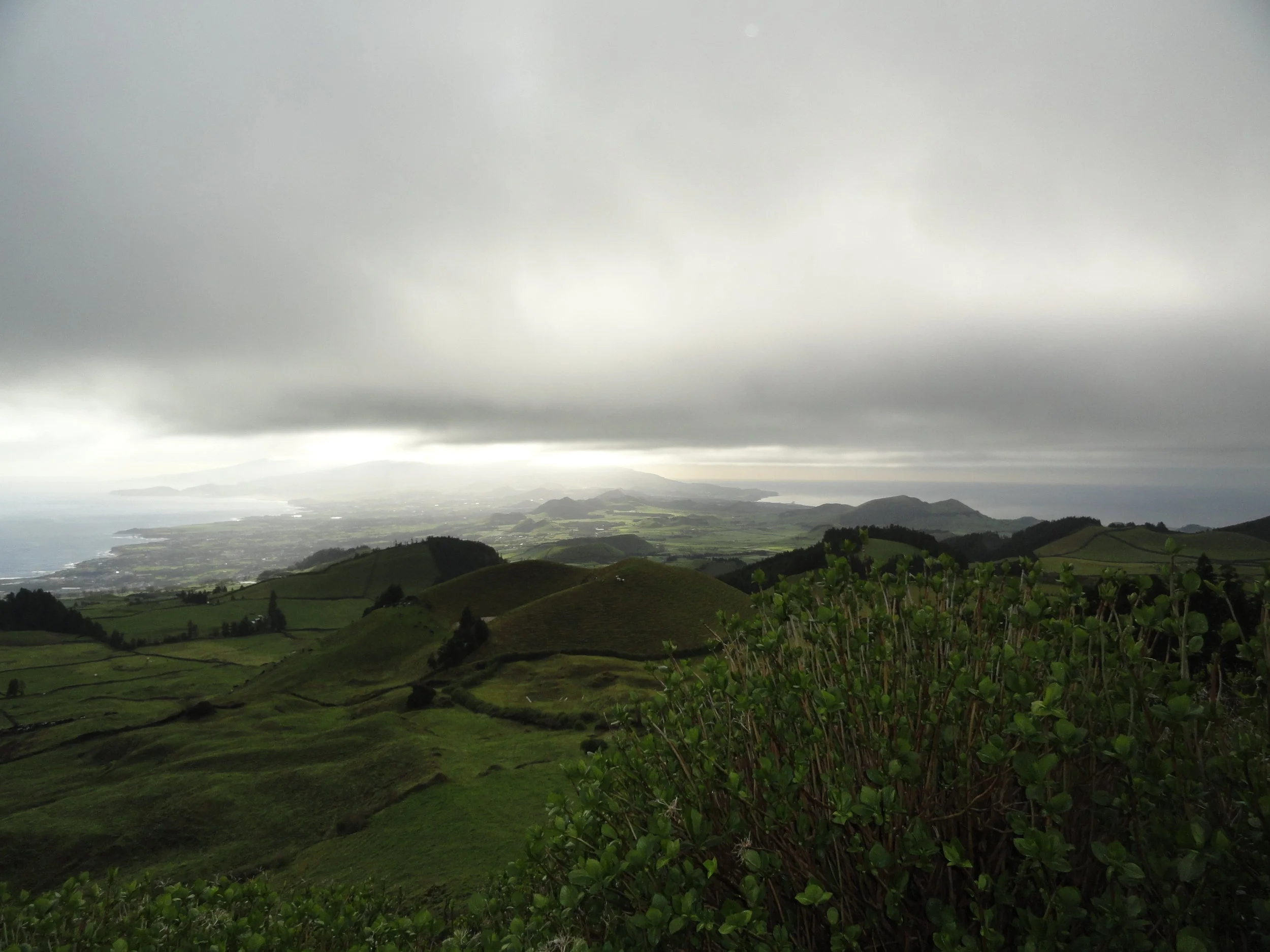 DSC01037.JPG