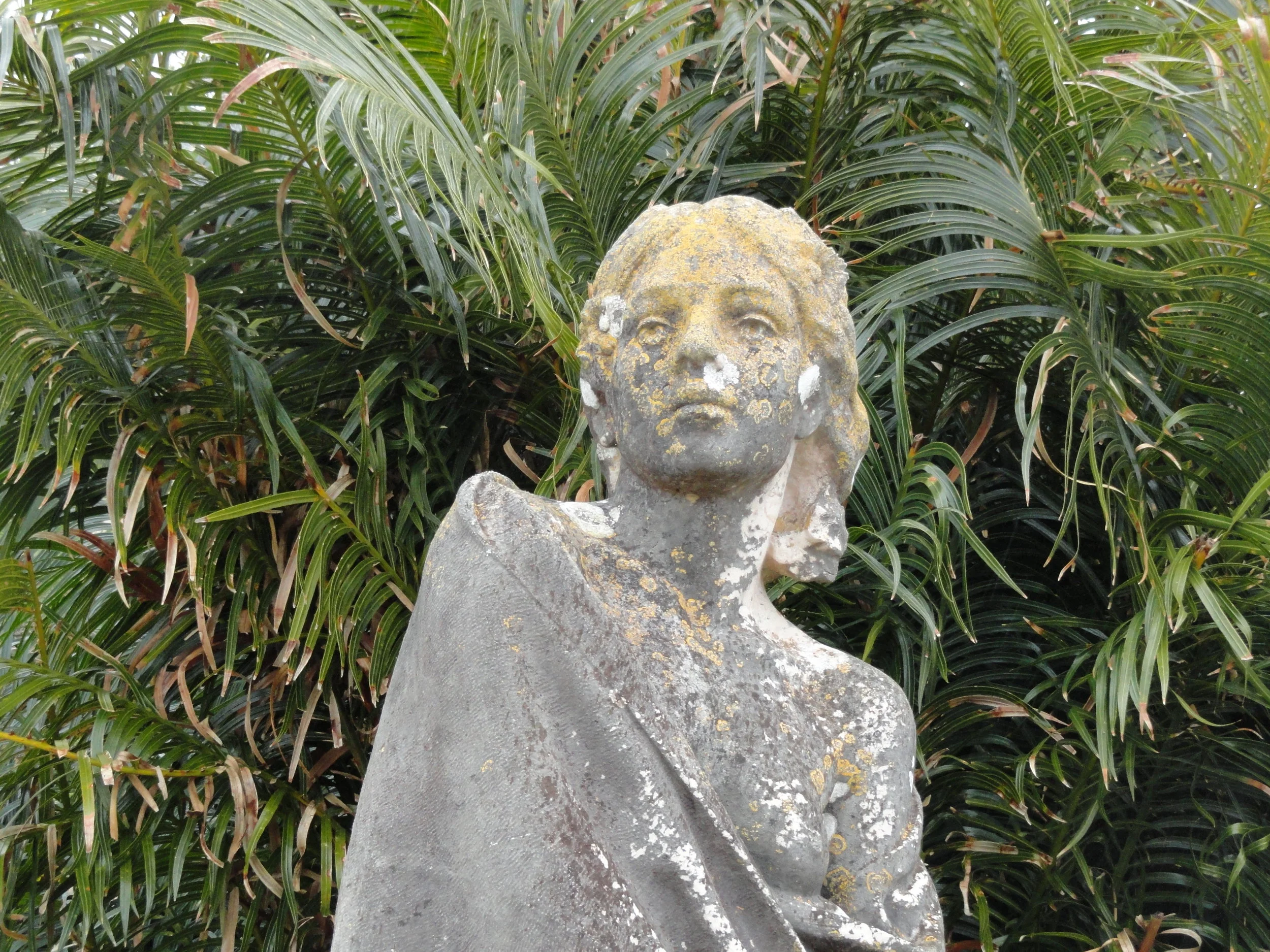 DSC01154.JPG