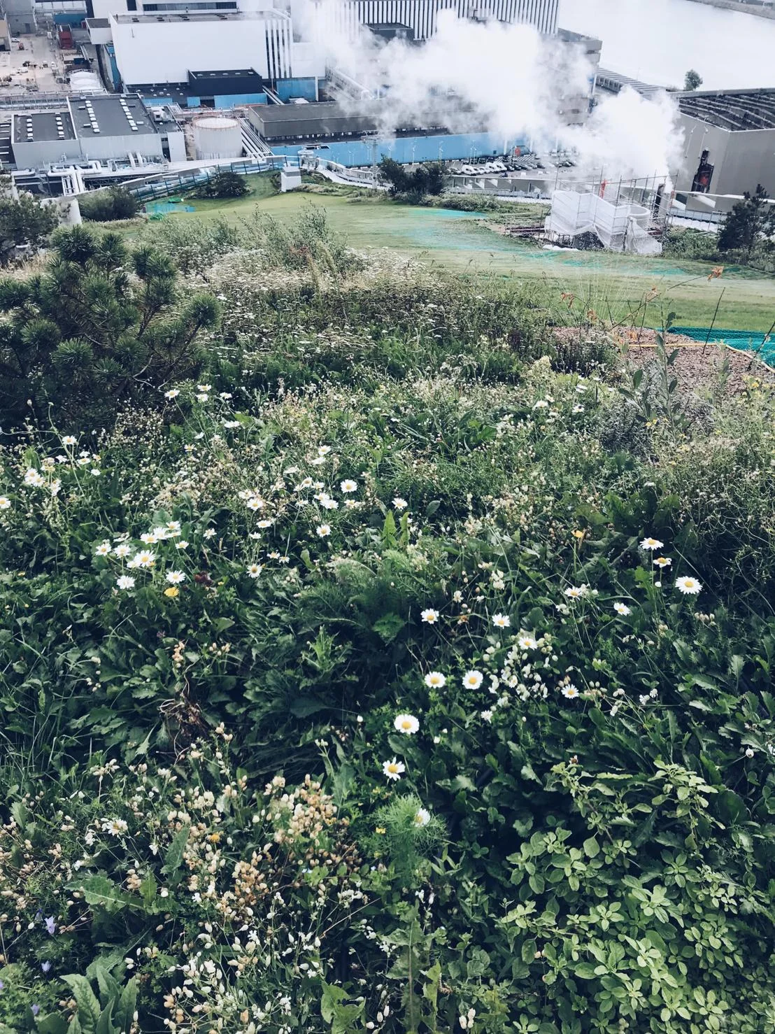 Copenhill3.jpg