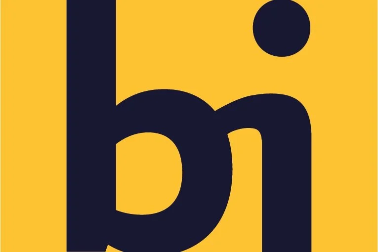 BI-renset-06.jpg