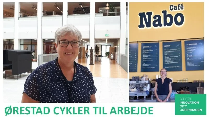 Ugens Ørestadshold: Jernhestene fra Økonomi