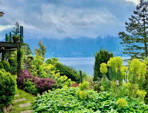 OPEN GARDEN
