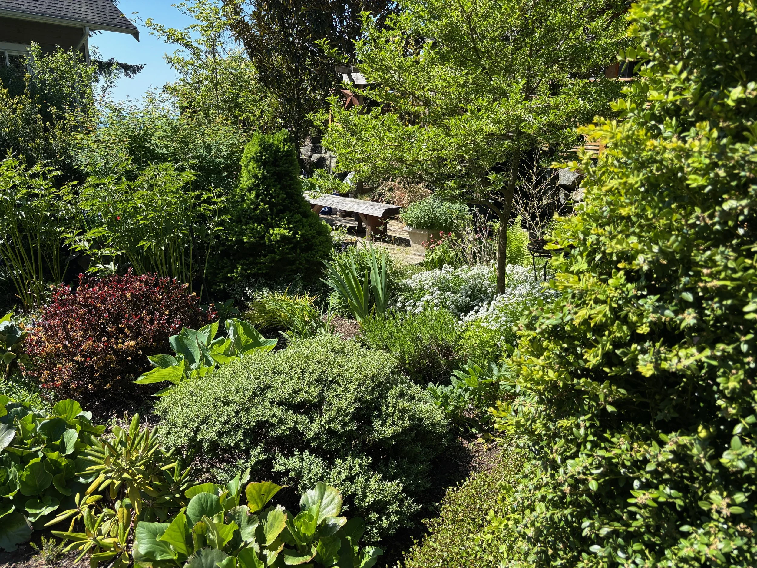 AGM &amp; Open Garden