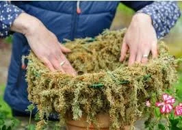 Hanging Basket Demonstration