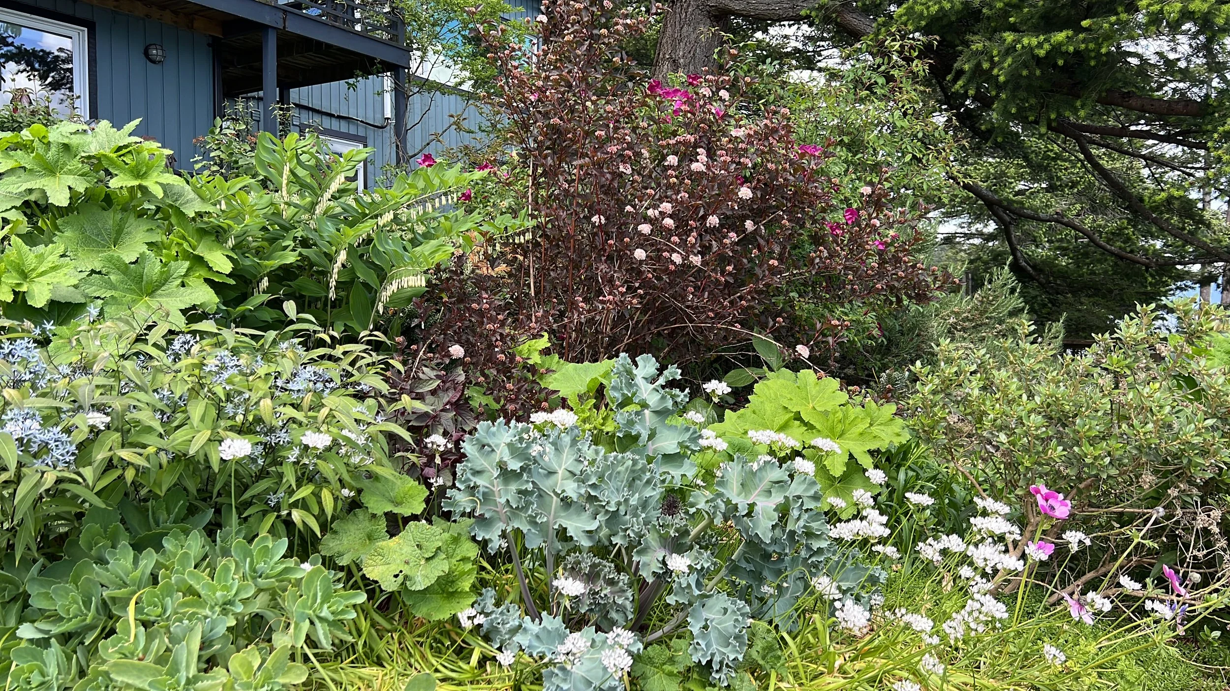 OPEN GARDEN