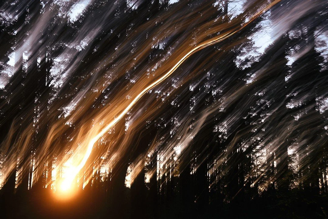 Meteor - I stood there looking at the sunset through the trees and then held my breath and pressed the shutter. In the 2 seconds the shutter was open I zoomed the camera down and across, accelerating as I moved so the trace of the sun became finer to