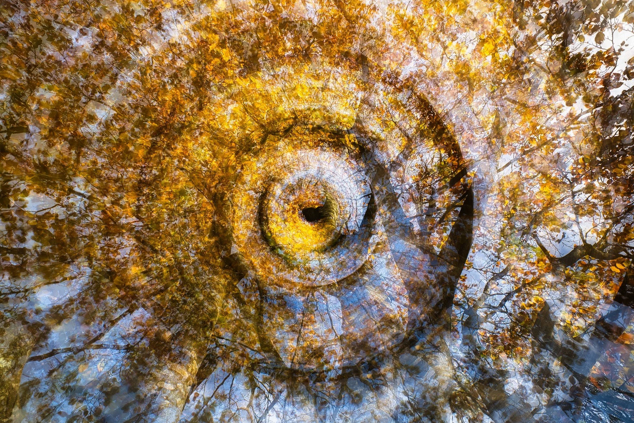 Autumn Tree Texture - After many overcast days the sun came out to turn up the colour of the autumn leaves.
This was shot with the Fujifilm X-T5 and the 10-24mm lens and a Hoya ND filter.
Check out my youtube channel for my thoughts on the Fujifilm X