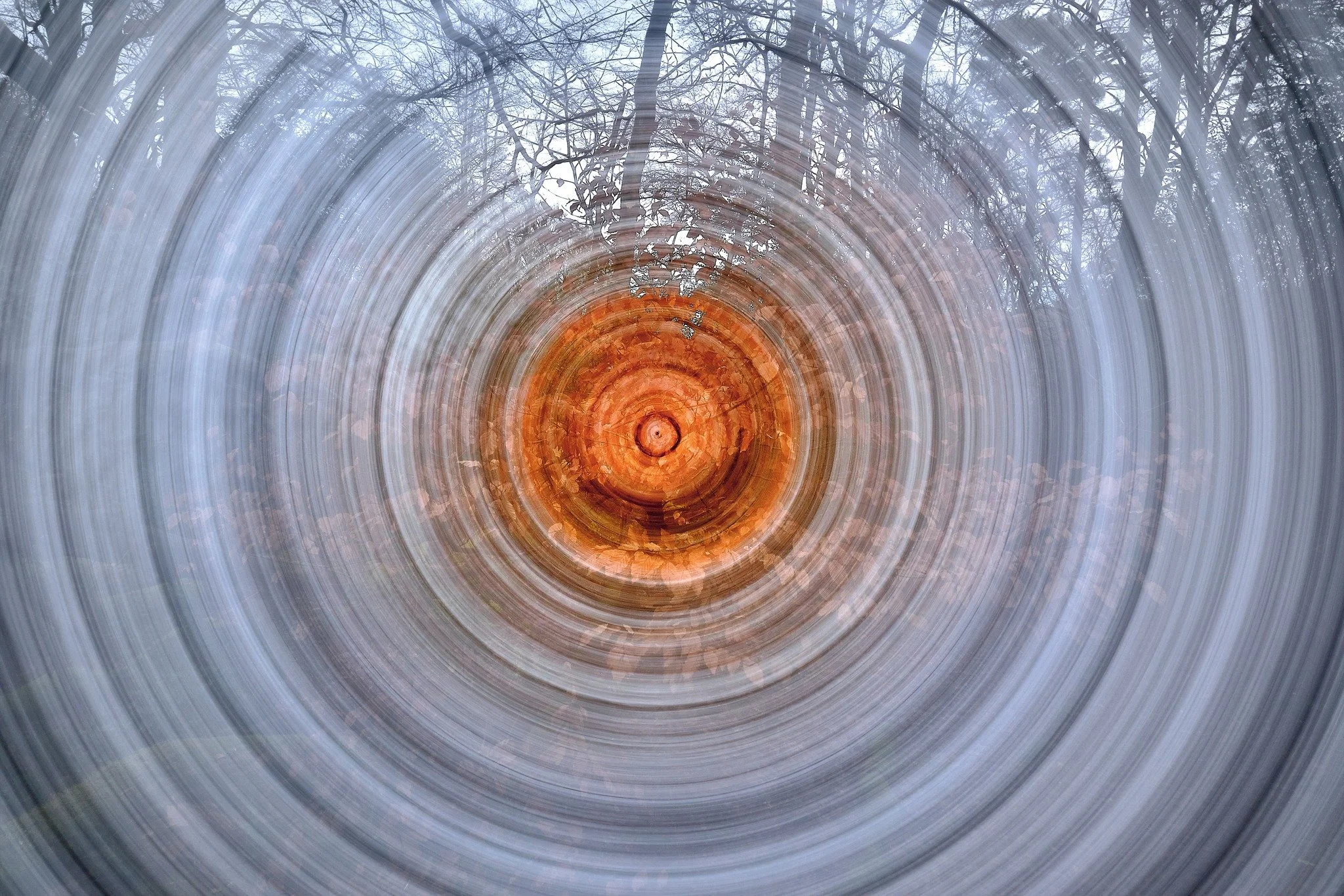 Golden Leaf 360 - Trying to find some colour in the depths of a pretty monochrome winter. Some golden leaves still on a tree.
If you want to see how I photographed this image you can watch my latest youtube video. Link in my bio.
 #beautifulcolours