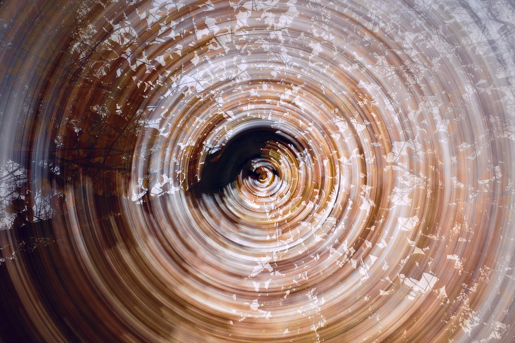 Autumn Tree Circles - All of these views were from the same place looking up into a tree. It really amazes me the different images you can create using an ND filter on your camera and using exposure times of a few seconds. I'll explain more on Youtub