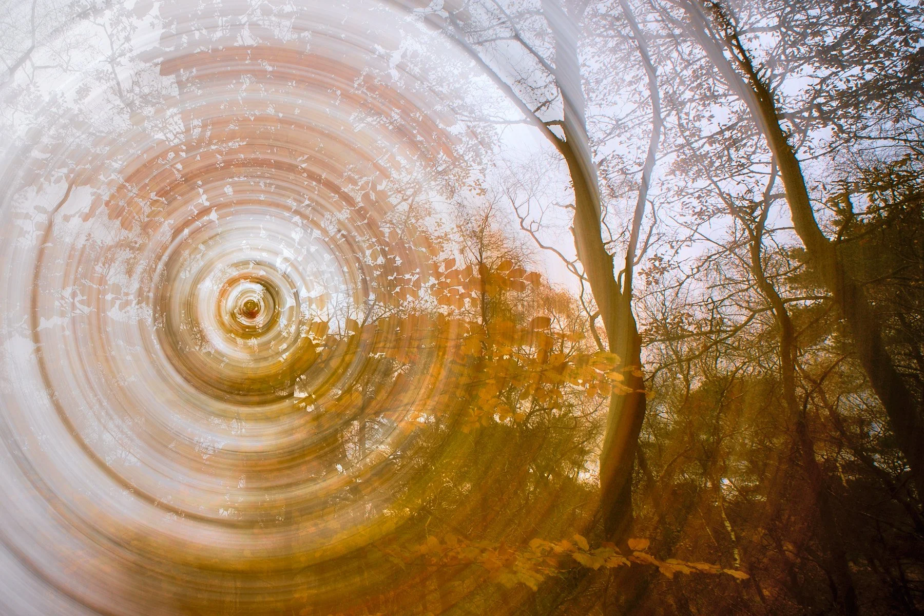 More Autumn Vibes - Beautiful shades of Autumn yesterday. 

#igerssurrey #fujifulmuk #circles #hoyafilters #fujilove #calm #captureone #leafy #surreyphotographer #nationaltrust #atmospheric #fineart #experimentalphotography #autumn #simephotography #