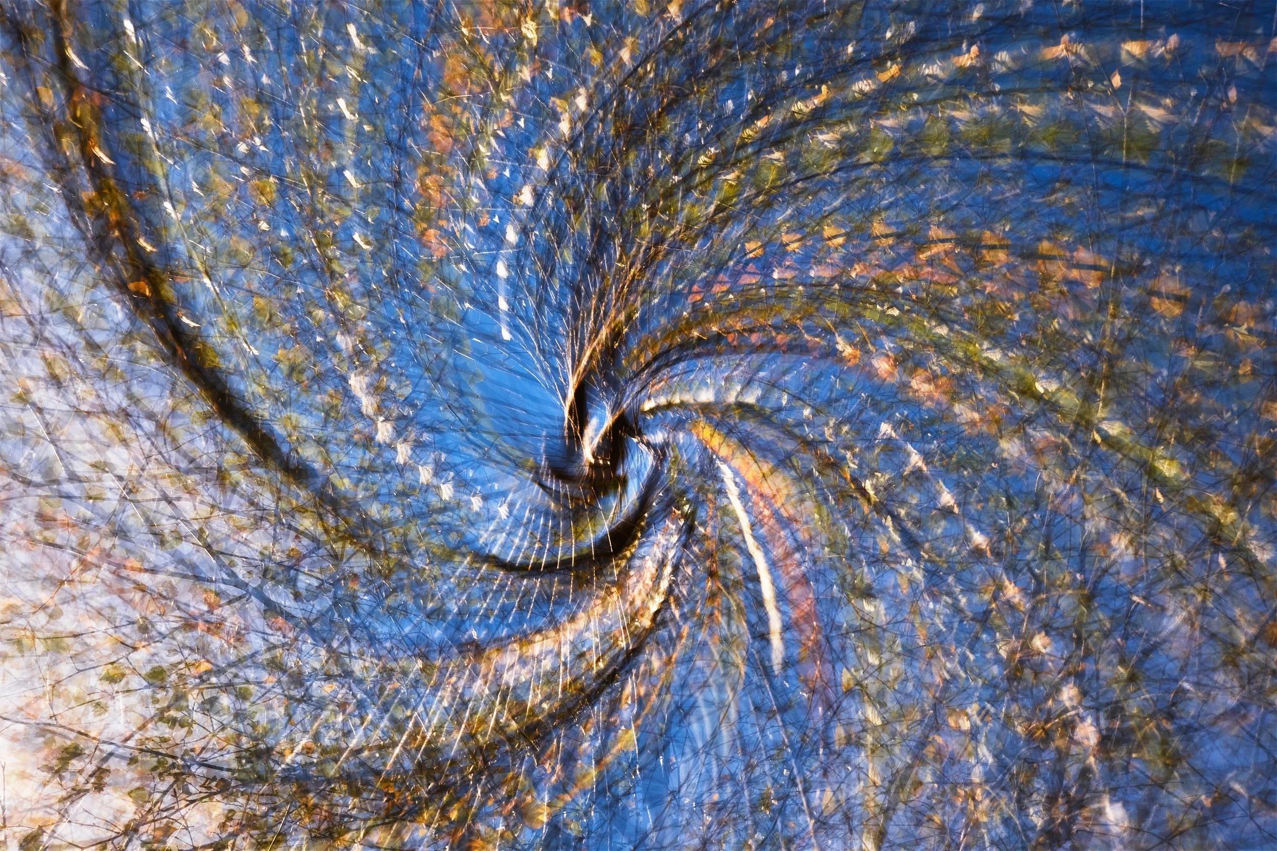 Spiral Brances 0826.jpg