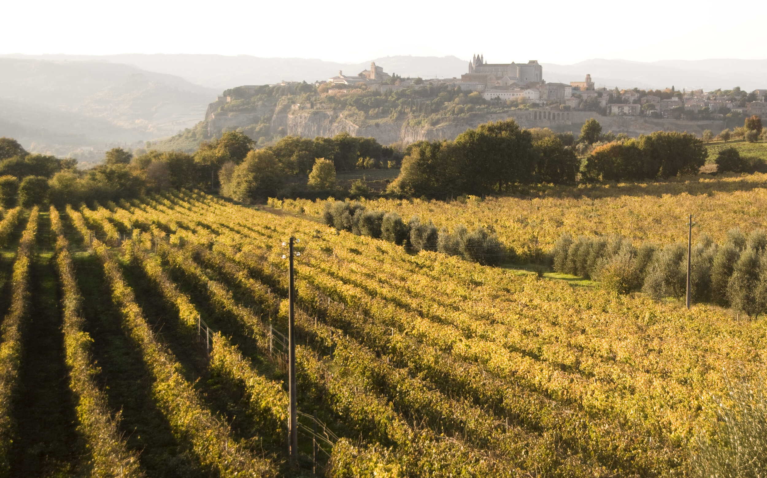 #3 Golden Harvest with Duomo.jpg