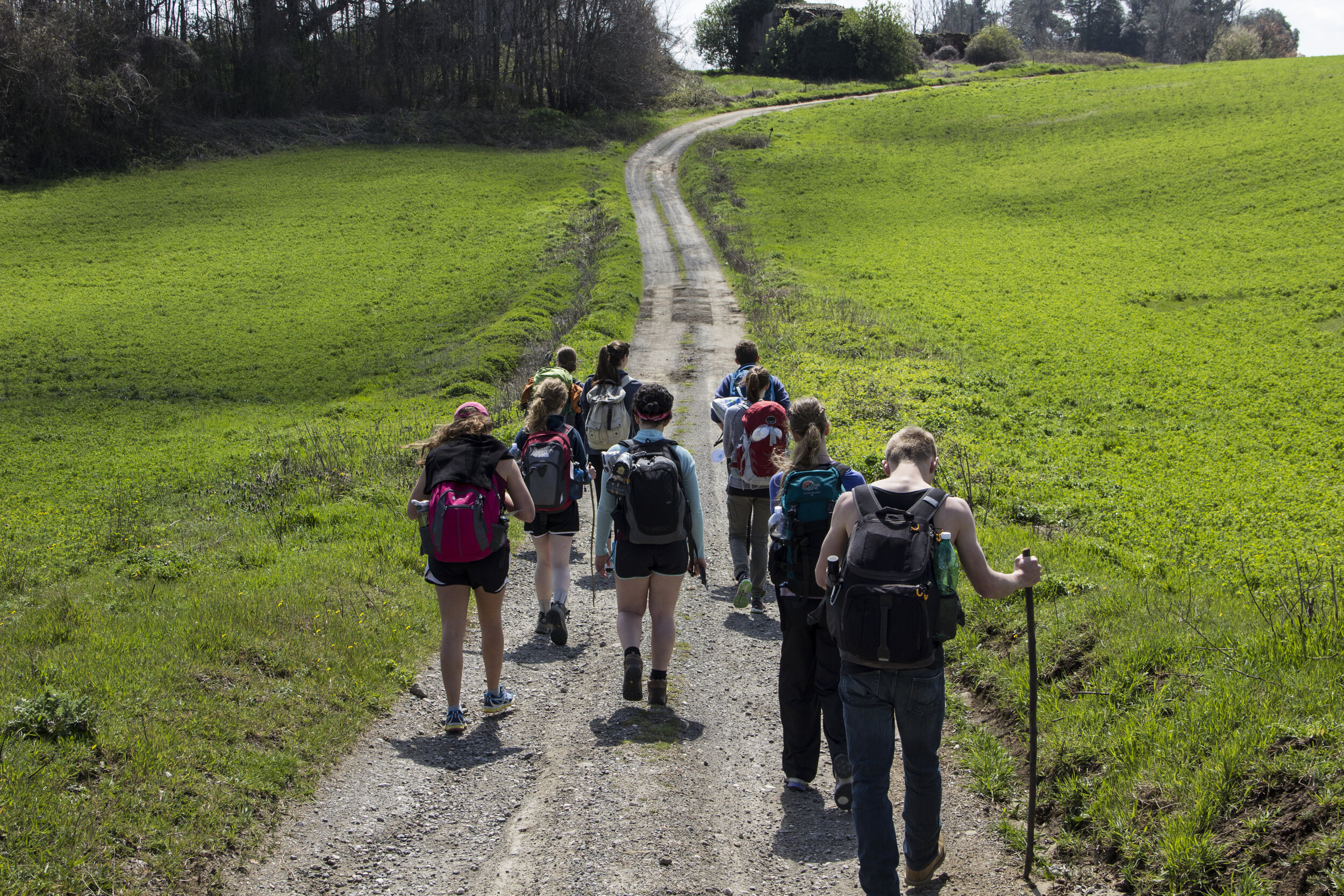  Hiking on the Via Francigena, the pilgrims’ route to Rome (photo Miranda Fuchs) 