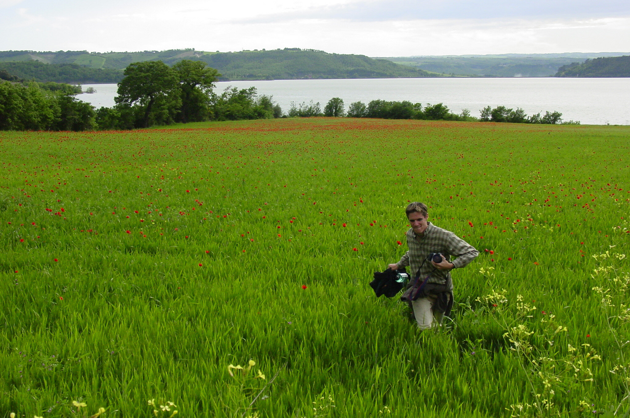  Poppy-filled pasture looking over Lake Bolsena. 