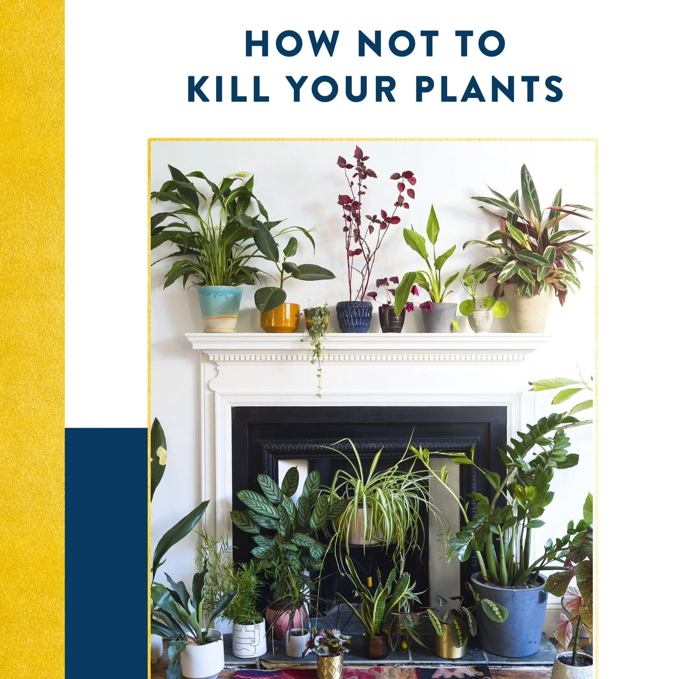 How Not To Kill Your Plants — Abigail's