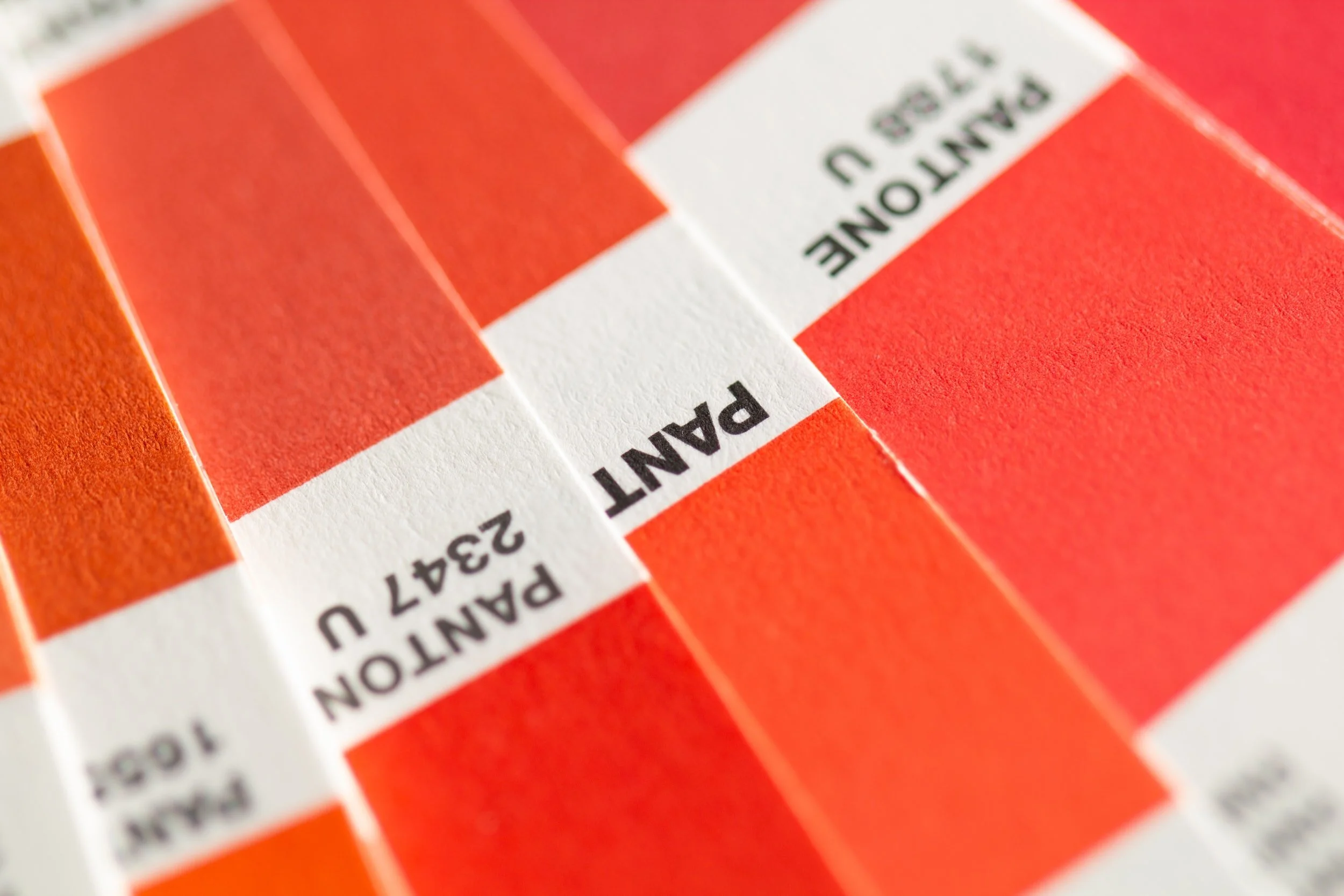 What Are the Key Autumn colours for 2022 &amp; 2023 Suggested by Pantone?