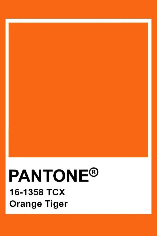 What Are The Top Trending Colors/Colours according to Pantone and Color/Colour Experts For 2023, 2024 and Beyond?