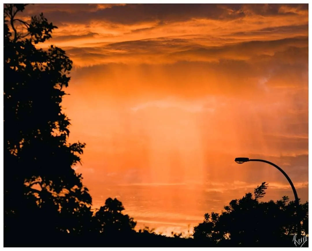The sunrise this morning was nothing short of EPIC!
As the light pierced through the clouds....awash with the most glorious intense colour, I saw what appeared to be a golden waterfall!
#goldenlight #goldenhour #natureatitsbest #naturephotography #fu