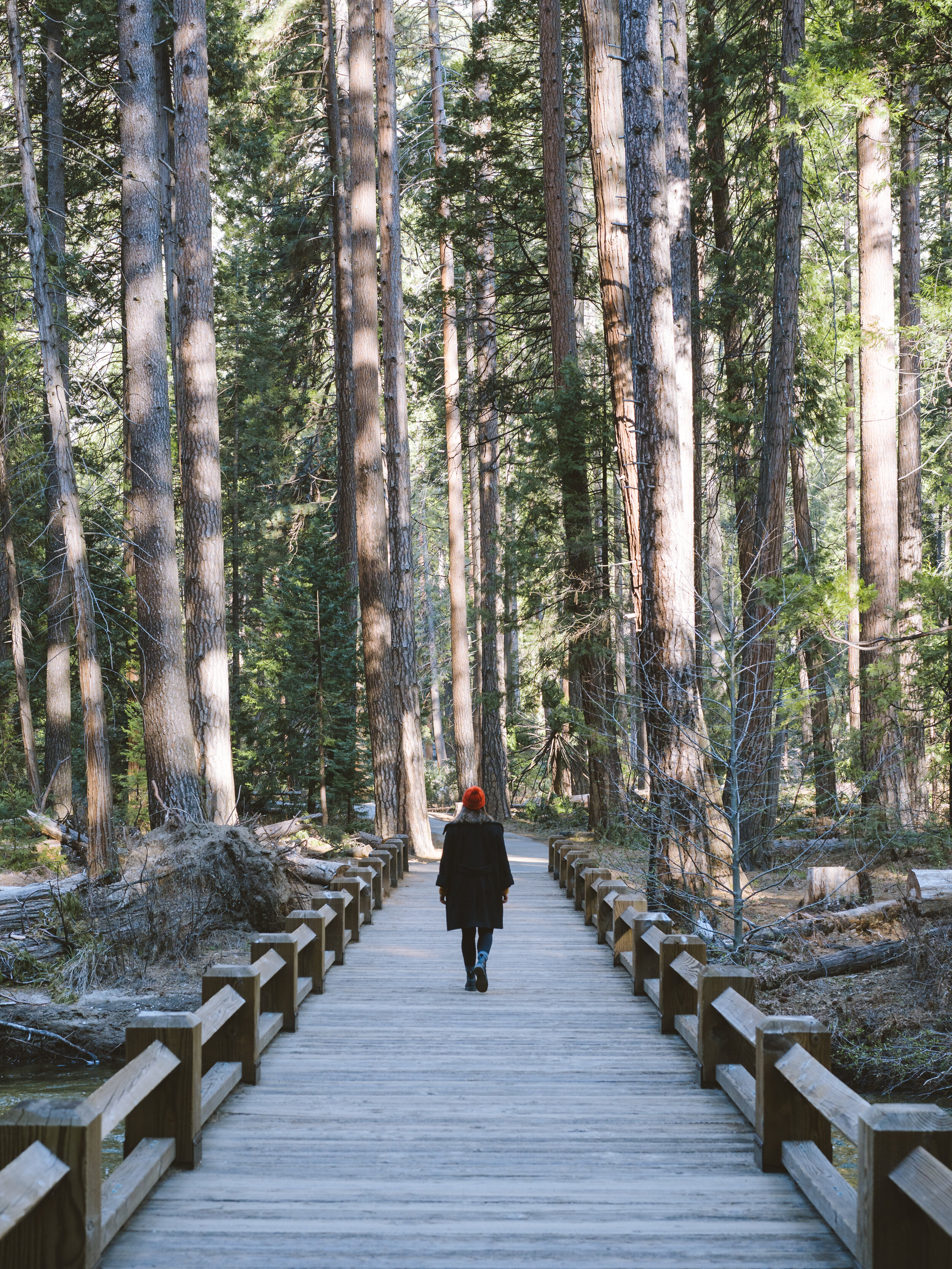 mad in yosemite.jpg
