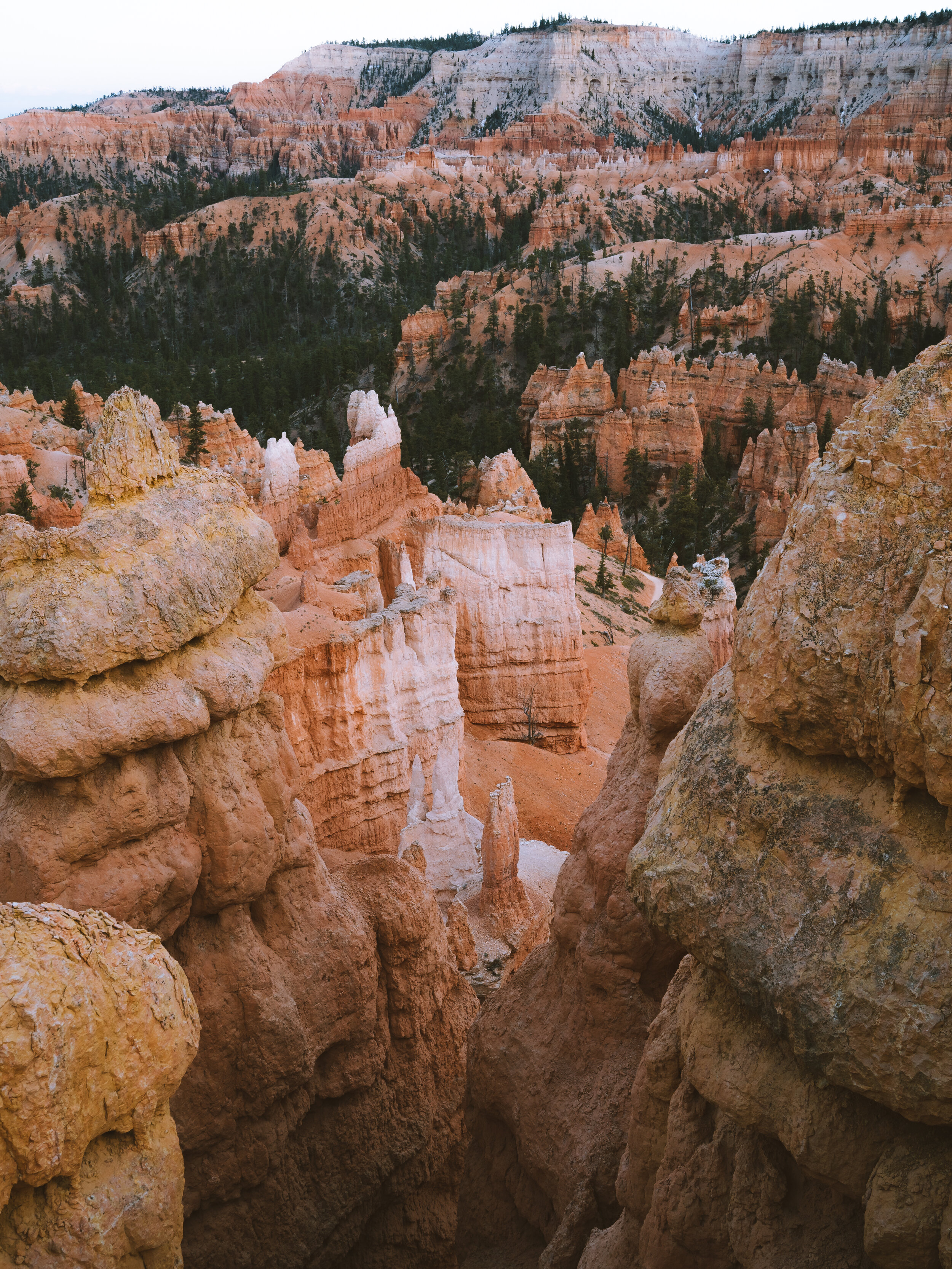 Bryce.jpg