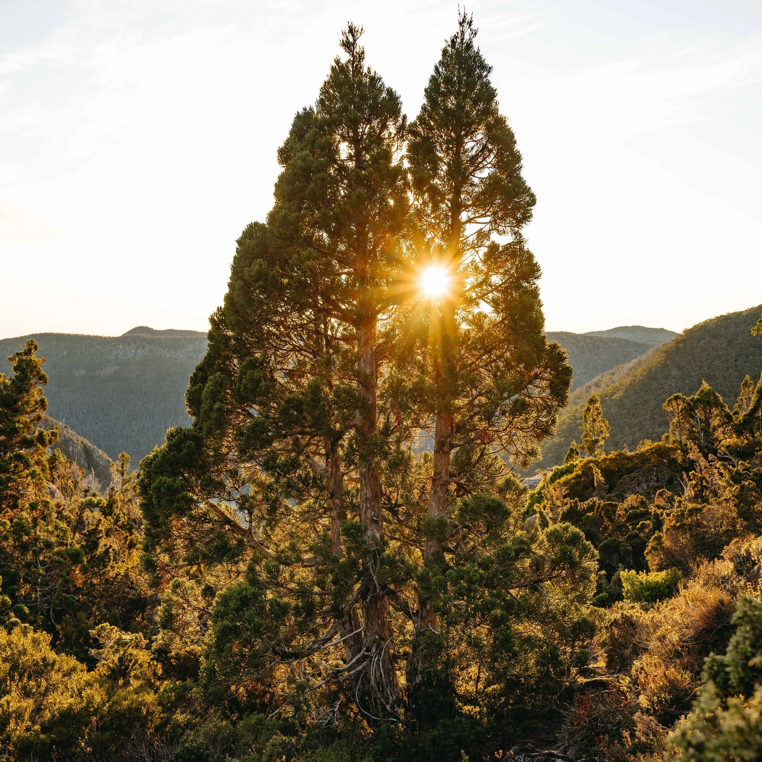 Madeleine Becker - TSP-3.jpg