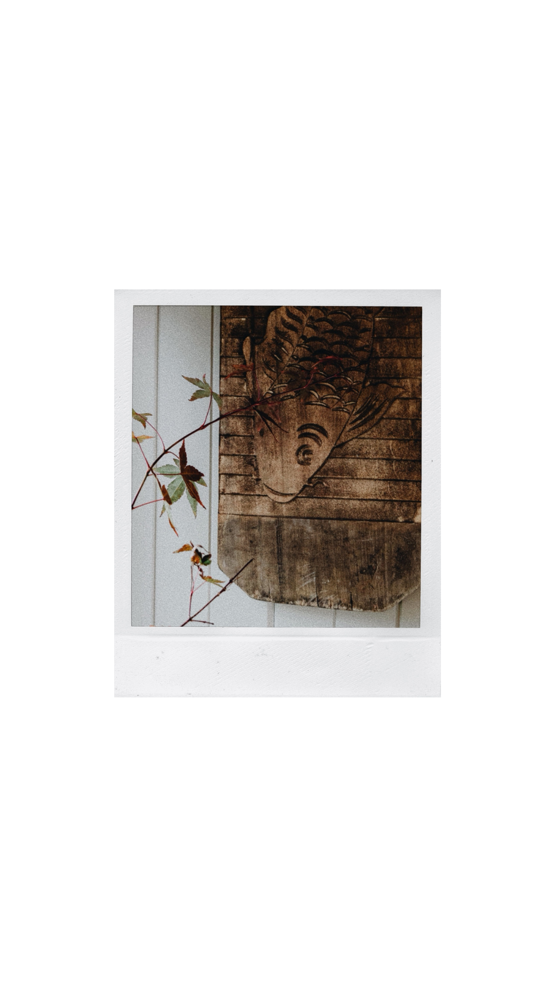 Untitled design (12).png