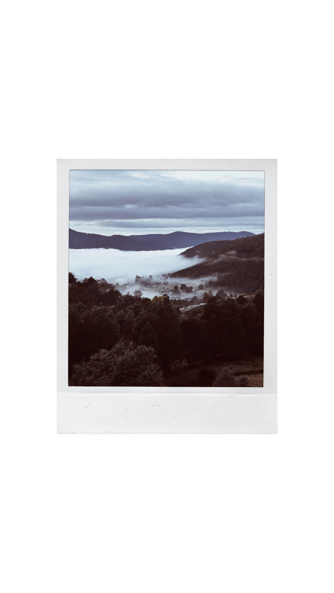 Untitled design (23).png