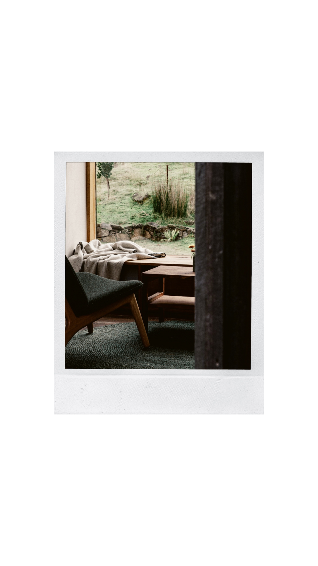Untitled design (26).png