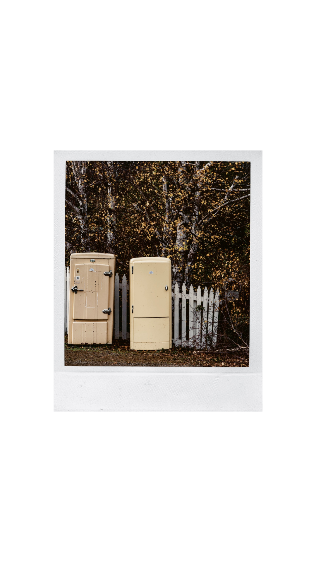 Untitled design (27).png