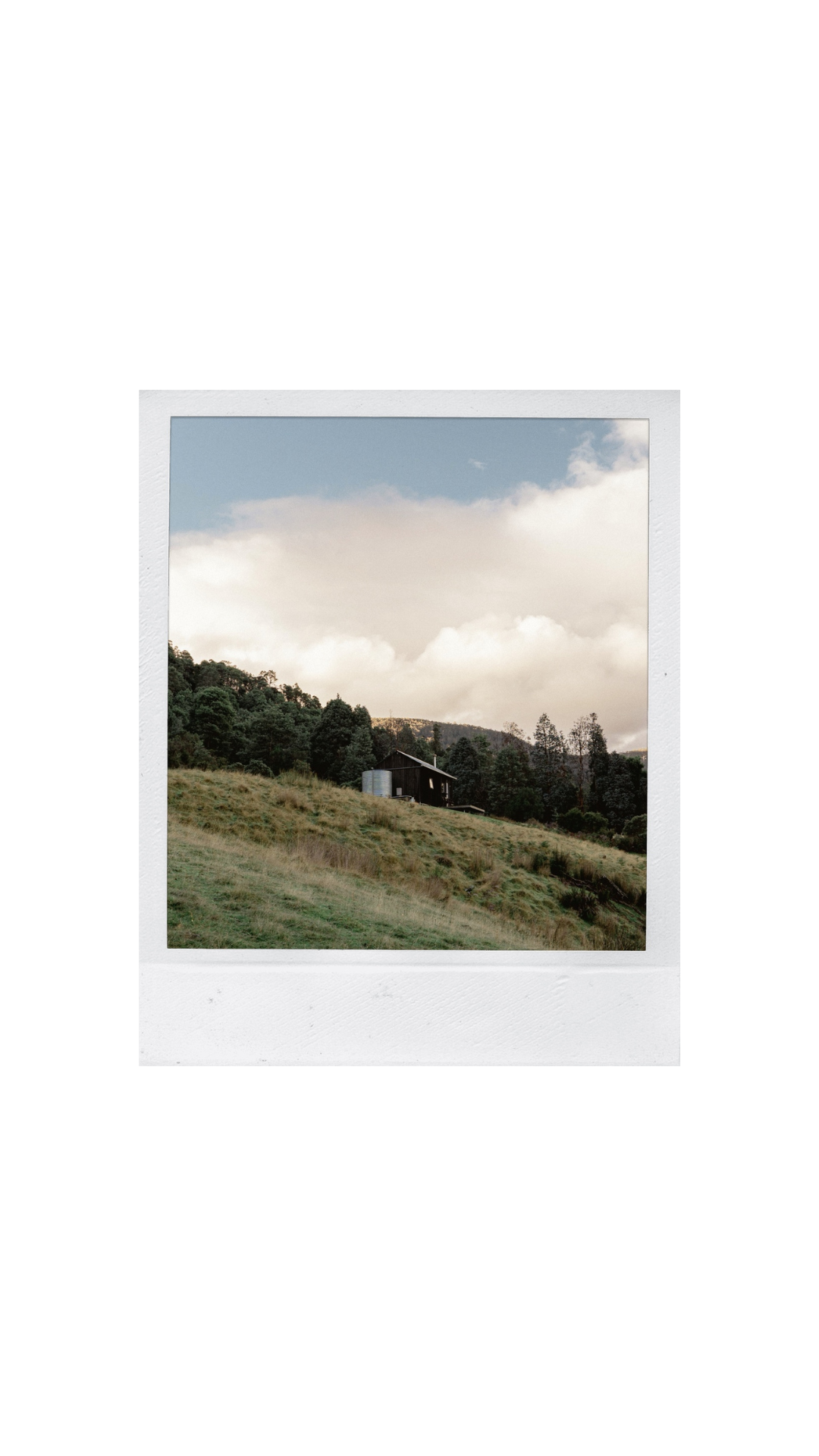 Untitled design (31).png