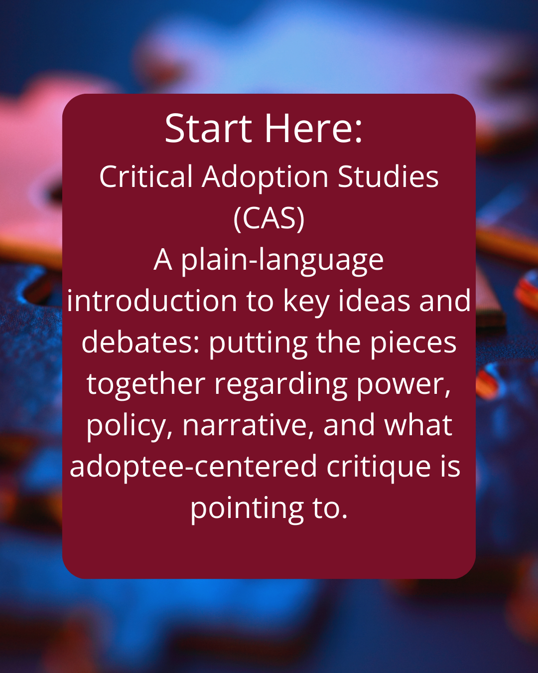 Critical Adoption Studies (CAS)