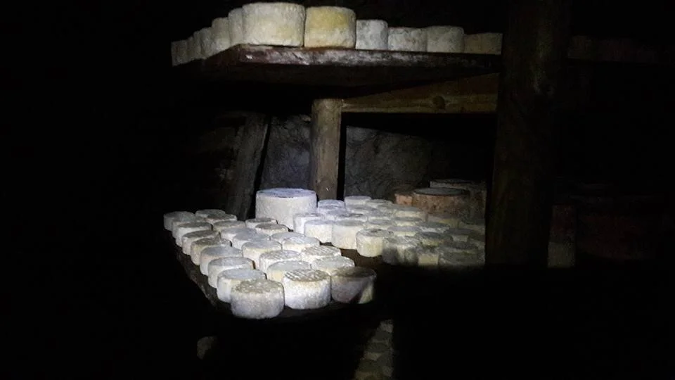 QUESO PICON.jpg