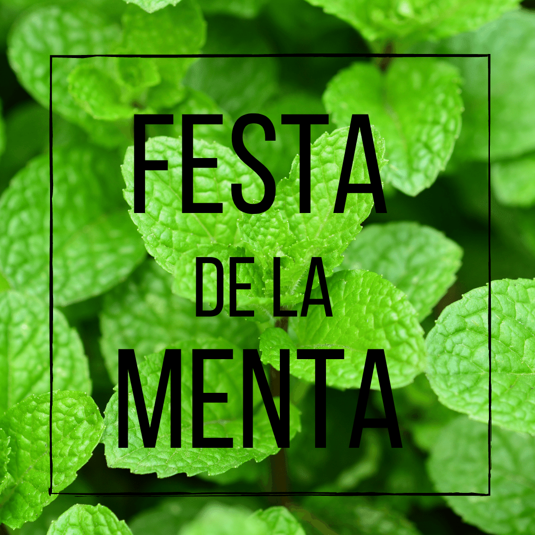 fiesta de la menta
