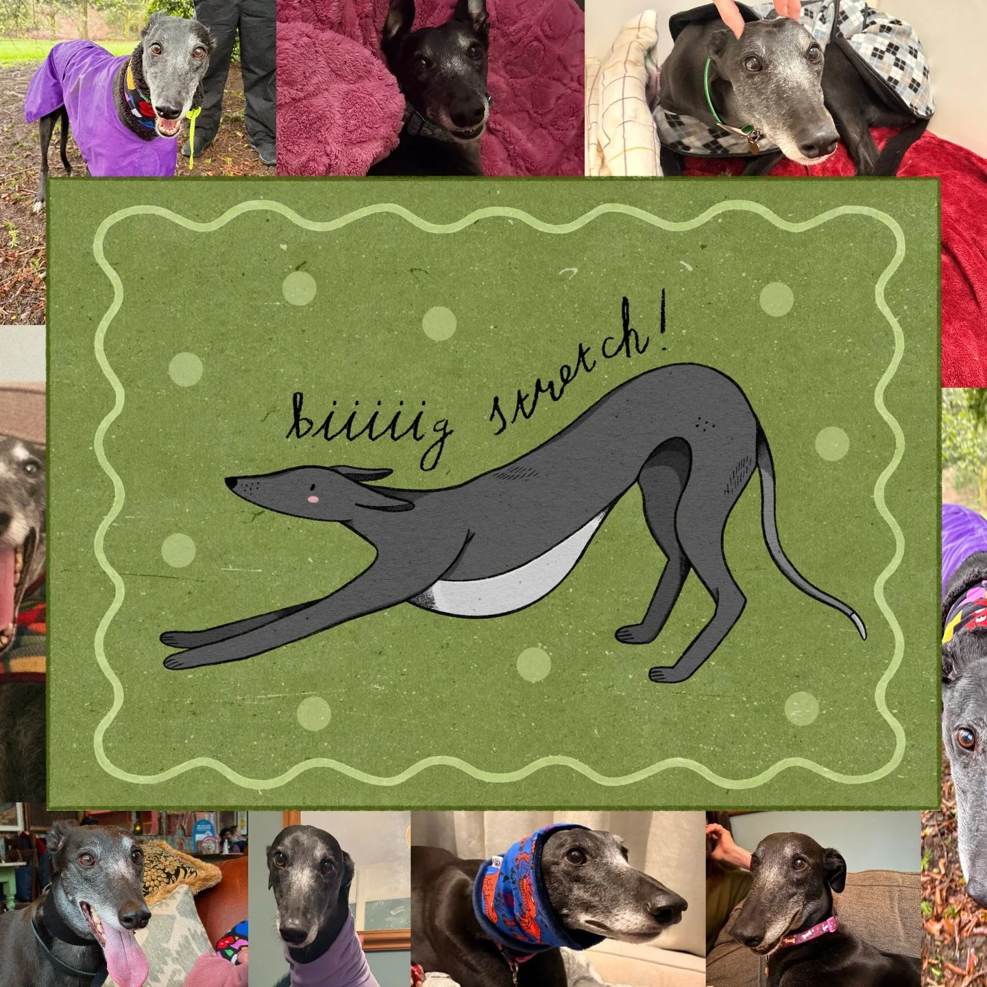 yesterday was a hard day so cheered myself up by drawing my son, podge 🐾🌟⭐️✨🍀🌷🪄 doing a biiiiiig stretch as he does one 2405050 a day. love that guy!!!!! 🦴

#illustration #illustrator #dogs #artist #print