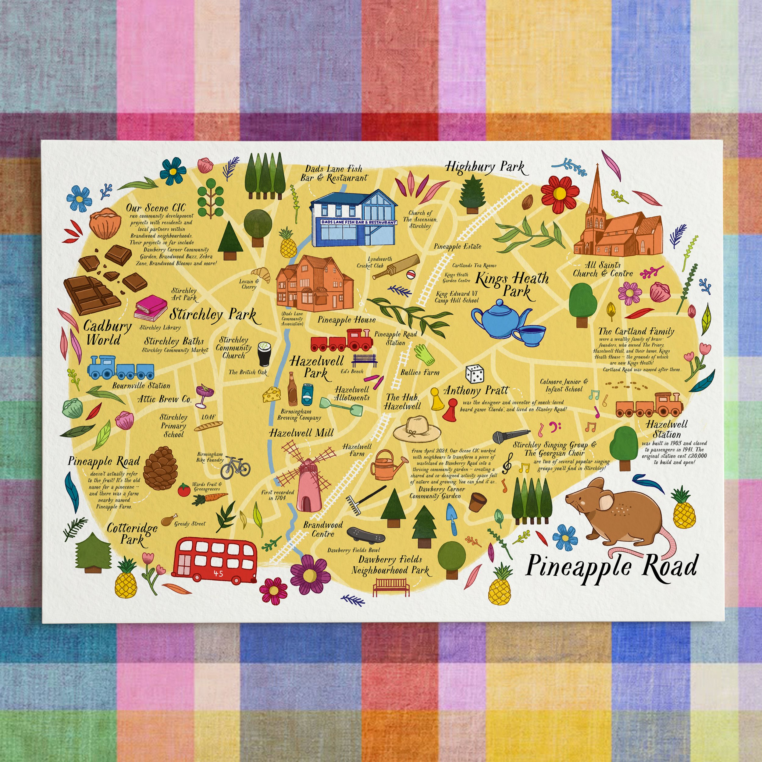 Pineapple Road, Stirchley & Hazelwell, A4 Illustrated Art Print