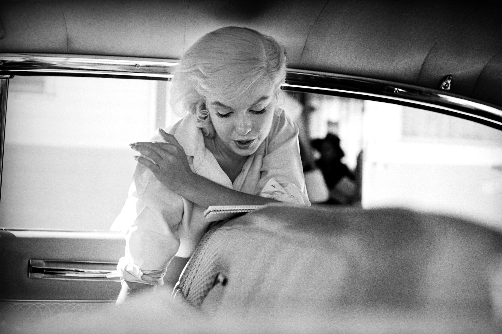 Monroe in car.jpg