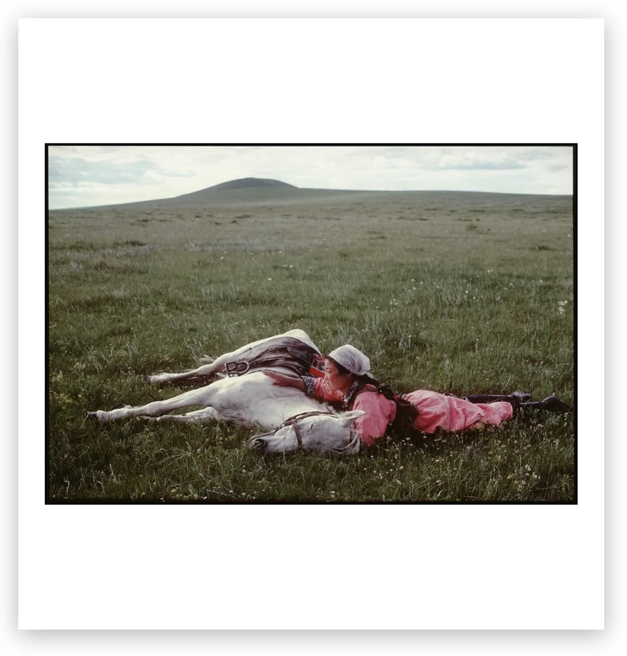 Mongolian Horse drop shaddow.jpg