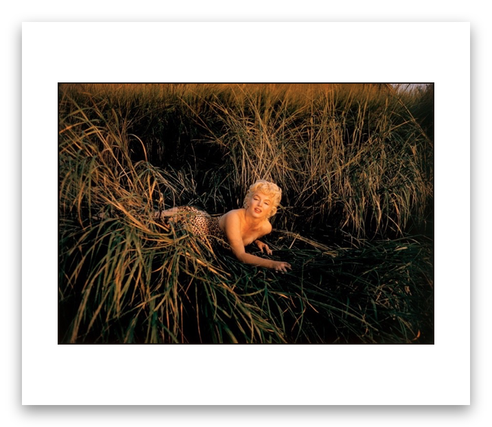 Marilyn_white_border_shadow.png