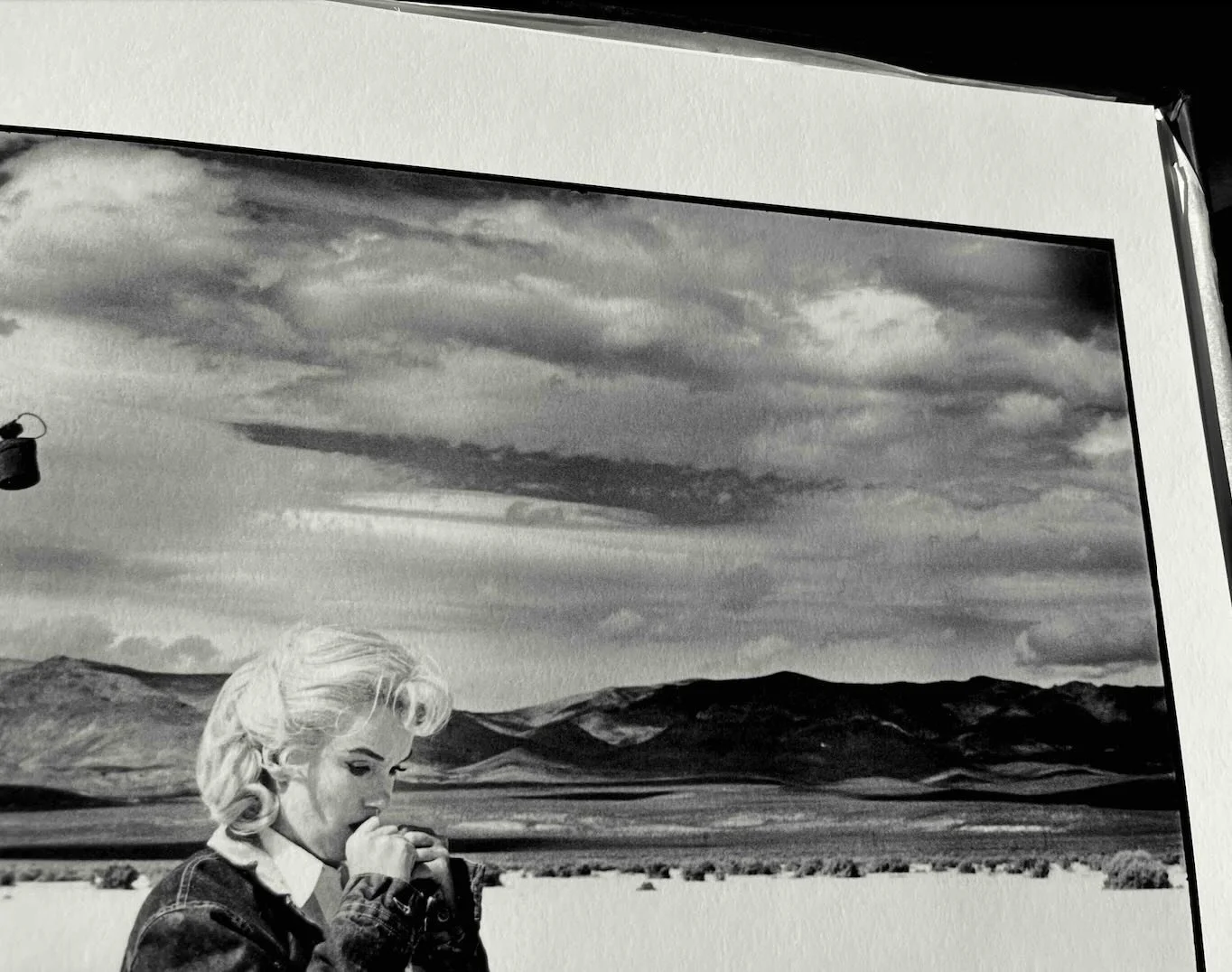Monroe print close up.jpg