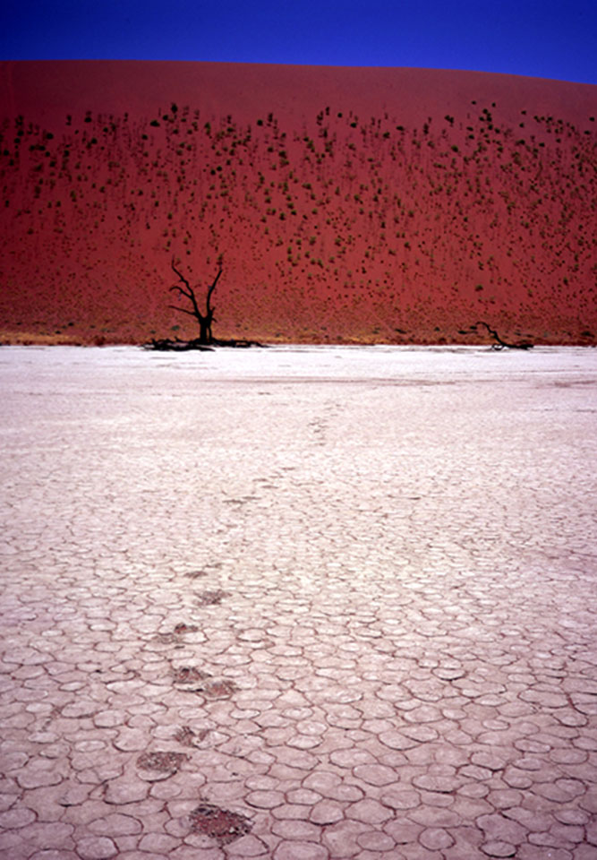  Dead Vlei, Namibia 