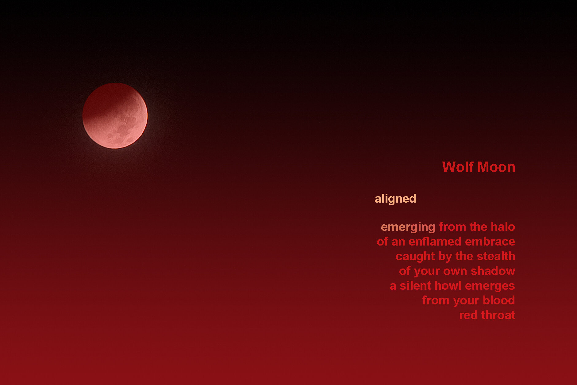 Wolf Moon rev 2 (002).jpg